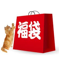 アイヨイア 2024年福袋 猫用5点セット