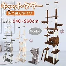 Amazon | スリムキャットタワー