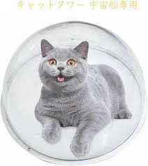 宇宙船猫タワー透明ハーモニー