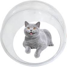 宇宙船型透明ハンモックキャットタワー