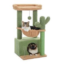 アマゾン | PAWZ Road サボテン型ミニ猫タワー